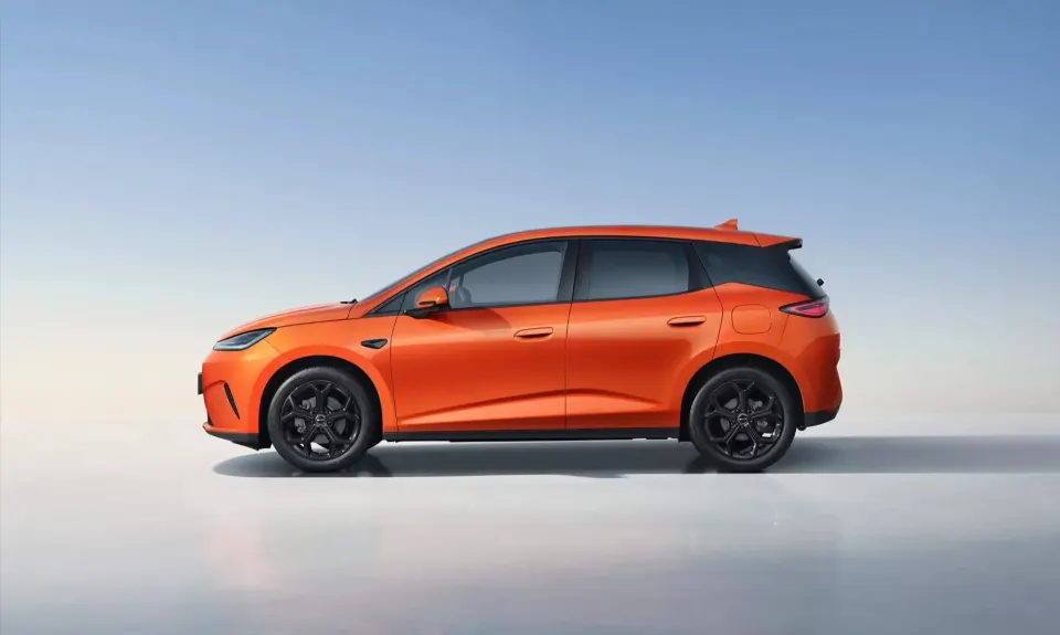 BYD 4.webp